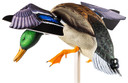 Avian AVX-AVXDP101