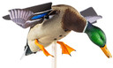 Avian X AVXAVXDP101 PowerFlight Mallard Spinning Wing Duck Decoy Multi-Color Dual Mode Remote