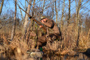 Avian X AVXUGGS Ultimate Gun & Gear Stick OD Green Includes Carry Strap