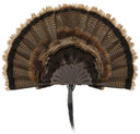 Allen 7238 EZ Mount Turkey Fan Display Wall Mount Turkey Brown Steel Includes Mounting Hardware