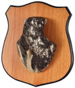Allen 569 Heirloom Mounting Plaque with Red/MOBU Skull Covers