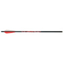 BloodSport Hunter Crossbow Bolts 20 in 3 in Vanes 6 pk BLS-8110003