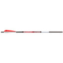 BloodSport Witness Crossbow Bolts 20 in 4 in Vanes 6 pk BLS-B8110053