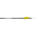 Carbon Express Nano SST Shafts 450 1 doz 51584