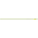 Easton Genesis Arrows 3 in Vane Green 36 pk 529336