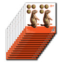 EZ-Aim 15210 Prairie Dog Paper 8 in x 8 in Prairie Dog 12 Per Pack