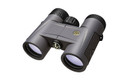 Leupold BX-2 Tioga HD Binoculars, 8x32mm, Roof Prisim Shadow Grey 172688