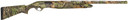 POINTER PHENOMA PPHC1228MOBS 12/28 3IN MOO 5CT