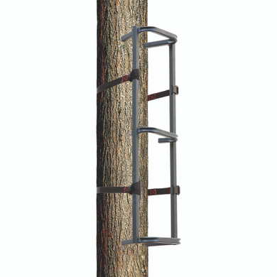 Rhino Climbing Section 31 in 1 pk RTCS-100