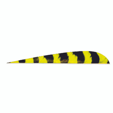 Trueflight Parabolic Feathers Barred Yellow 4 in LW 100 pk 1534