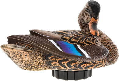 Avian AVX-PSH-MHPR