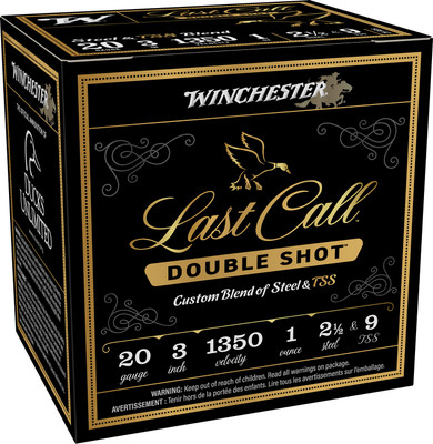 Winchester LCDS2039