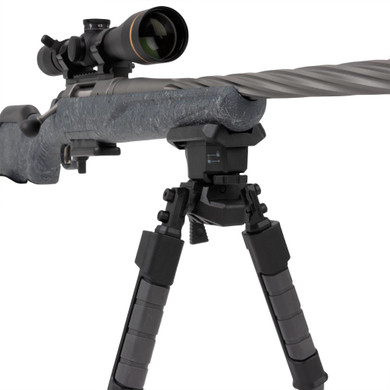 Allen 5204