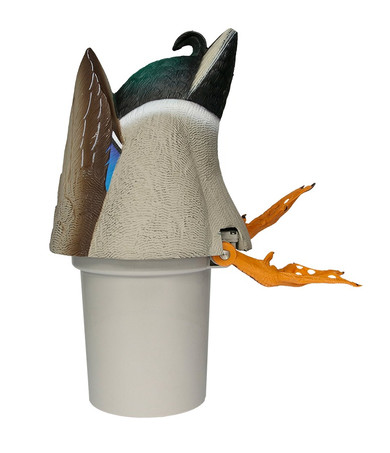 Avian AVX-PBKHD