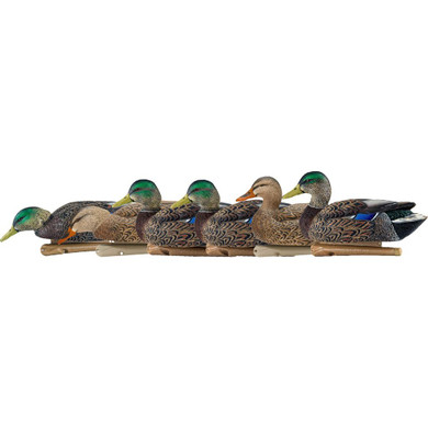 AvianX Top Flight Duck Decoys Early Season Mallards 6 pk. AVX-AVX8062