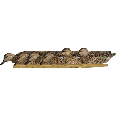 AvianX Top Flight Duck Decoys Early Season Teal 6 pk. AVX-AVX8079