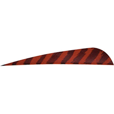 Gateway Barred Feathers Red 4 in. RW 50 pk. 400RPBRD-50