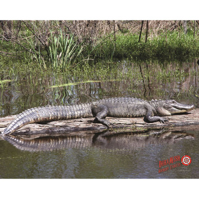 DuraMesh Archery Target Alligator 25 in. x 32 in. DM224