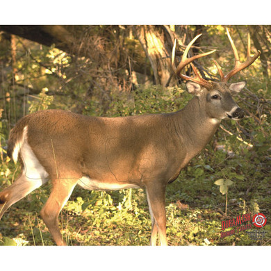DuraMesh Archery Target Whitetail 3 25 in. x 32 in. DM221