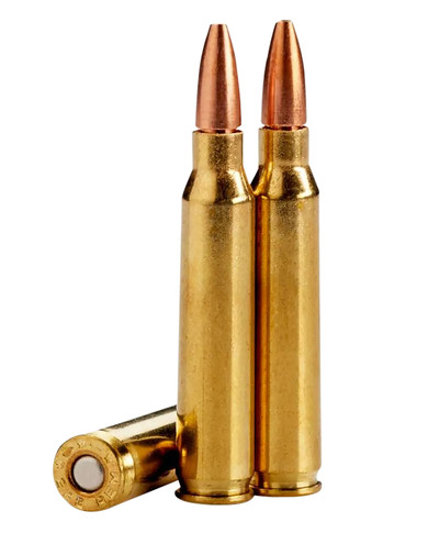 Lehigh Defense LA22362CC Controlled Chaos 223 Rem 62 gr Lehigh Defense Controlled Chaos 20 Per Box/ 10 Case Centerfire, Rifle Ammunition