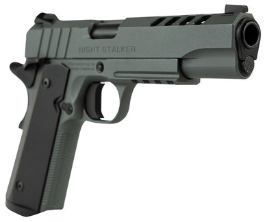 Tisas 10100512 1911 Night Stalker Full Size 45 ACP 8+1 5 in Black Steel Ramped Barrel, Platinum Grey Cerakote Ported/Serrated Slide & Frame w/Picatinny Rail & Beavertail, Pistol
