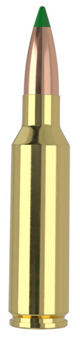 Nosler 61035