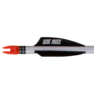 AAE Plastifletch Max Vanes Black 2 in Shield 100 pk PMA20BK100