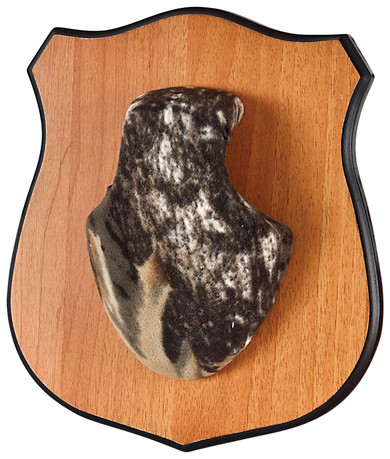 Allen 569 Heirloom Mounting Plaque with Red/MOBU Skull Covers