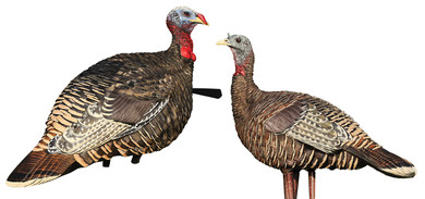 Avian X AVX-AVX8010 Lookout Jake & Hen Combo Turkey Species Multi Color