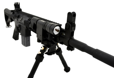 Colt Lights CLTSEPMS200A Microtac M-Scepter 170 Lumens AAA (2) Black