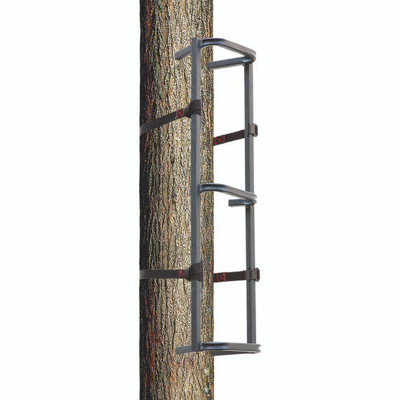 Rhino Climbing Section 31 in 1 pk RTCS-100