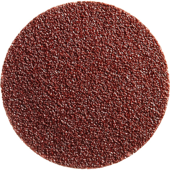 T-Bird Sanding Discs 1 in 10 pc 30101-Disc
