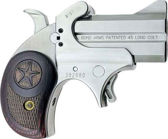 Bond Arms BAM Mini Pistol