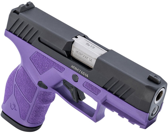Taurus 1GX2931DP
