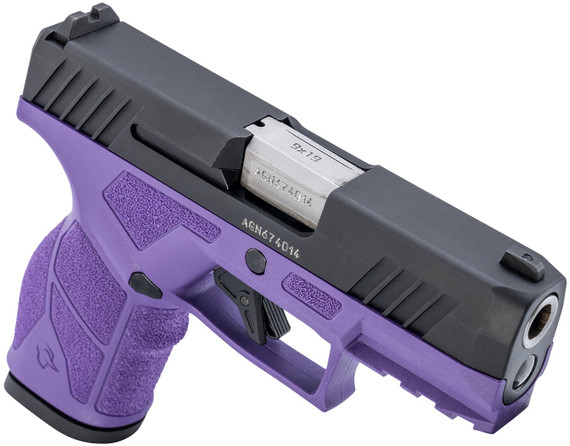 Taurus 1GX2931DP10