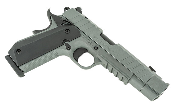 Tisas 10100134 B10B Night Stalker 10mm Auto 8+1 4.25" Black Cerakote Bull BBL, Gray Cerakote Steel Optic Ready/Serr Slide & Steel Frame w/Beavertail & Pic Rail, Black Polymer Grip, Holosun K/RMSc Footprint,Pistol