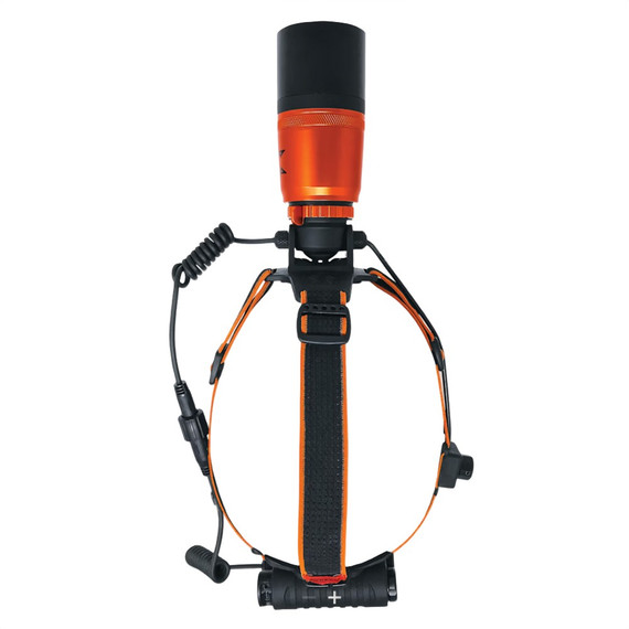 Foxpro QUADLAMP