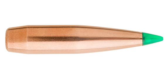 Sierra Bullets 4580