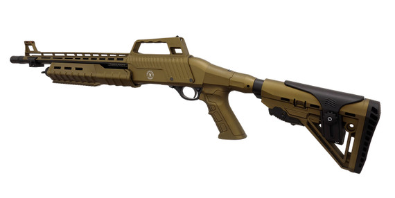 Silver Eagle Arms RZ17TACSB