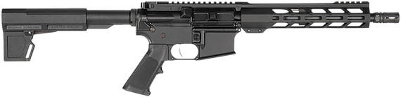 Hi Point HP15P300BLK