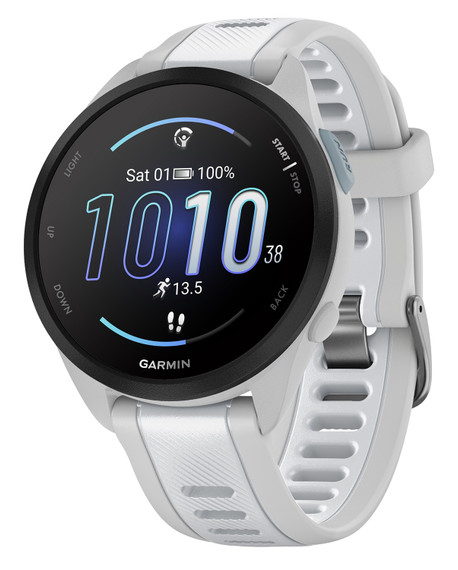 Garmin 0100286331