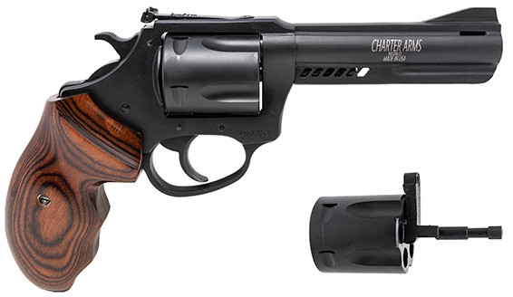 Charter Arms 13942