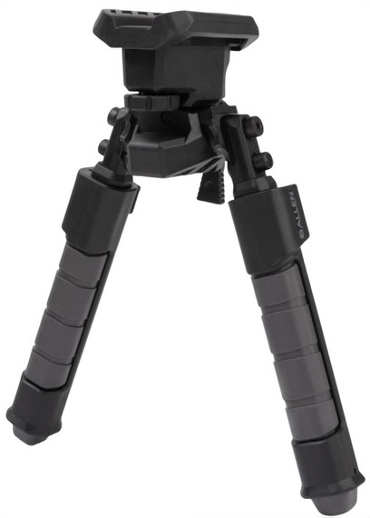 Allen 5204