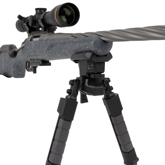 Allen 5204