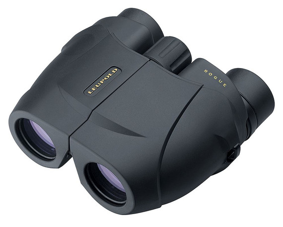 Leupold 59225 BX-1 Rogue Compact Binoculars