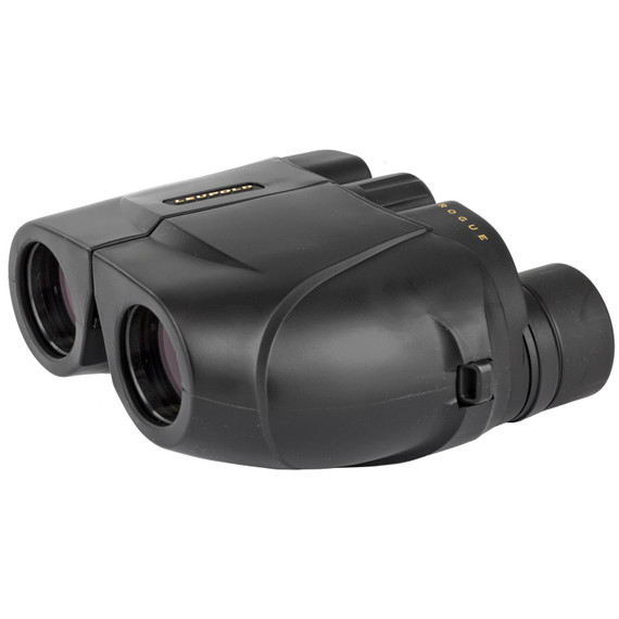 Leupold 59220 BX-1 Rogue Compact Binoculars