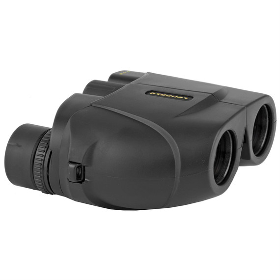 Leupold 59220 BX-1 Rogue 8x25mm Black