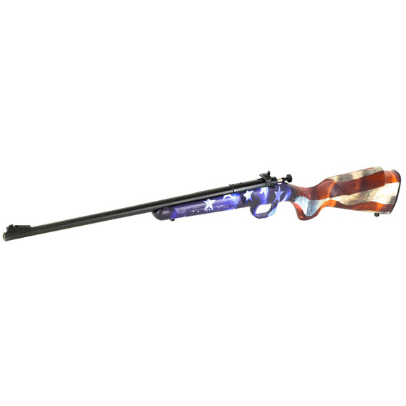 Keystone Sporting Arms Crickett, Generation 2, Bolt Action, Single Shot Rifle, 22LR, 16.125 in Barrel, Blue Finish, Grand Union Stock KSA2169
