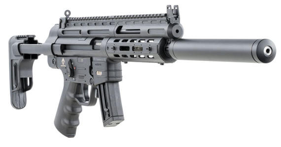 GSG GERGGSG1610ML GSG-16 Full Size 22 LR 10+1 16.25 in Black Black Polymer Receiver Black Collapsible w/Storage Compartment Stock Right Hand, Rifle