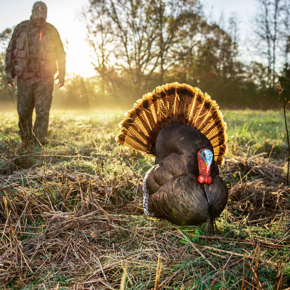 Primos 69072 Photoform Strutter Turkey Species Multi Color Foam Decoy